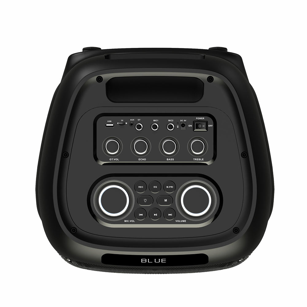 Zore LT-2131 Dijital LED Göstergeli Mikrofonlu RGB TWS Çift 8 inç Stereo Bass Kablosuz Karaoke Hoparlör Siyah