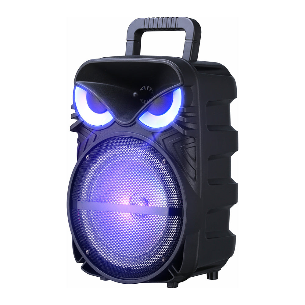 Zore PK-17 FM Radyolu Mikrofonlu RGB TWS 8 inç Stereo Bass Kablosuz Karaoke Hoparlör Siyah