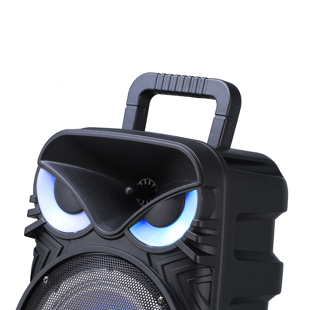 Zore PK-17 FM Radyolu Mikrofonlu RGB TWS 8 inç Stereo Bass Kablosuz Karaoke Hoparlör Siyah