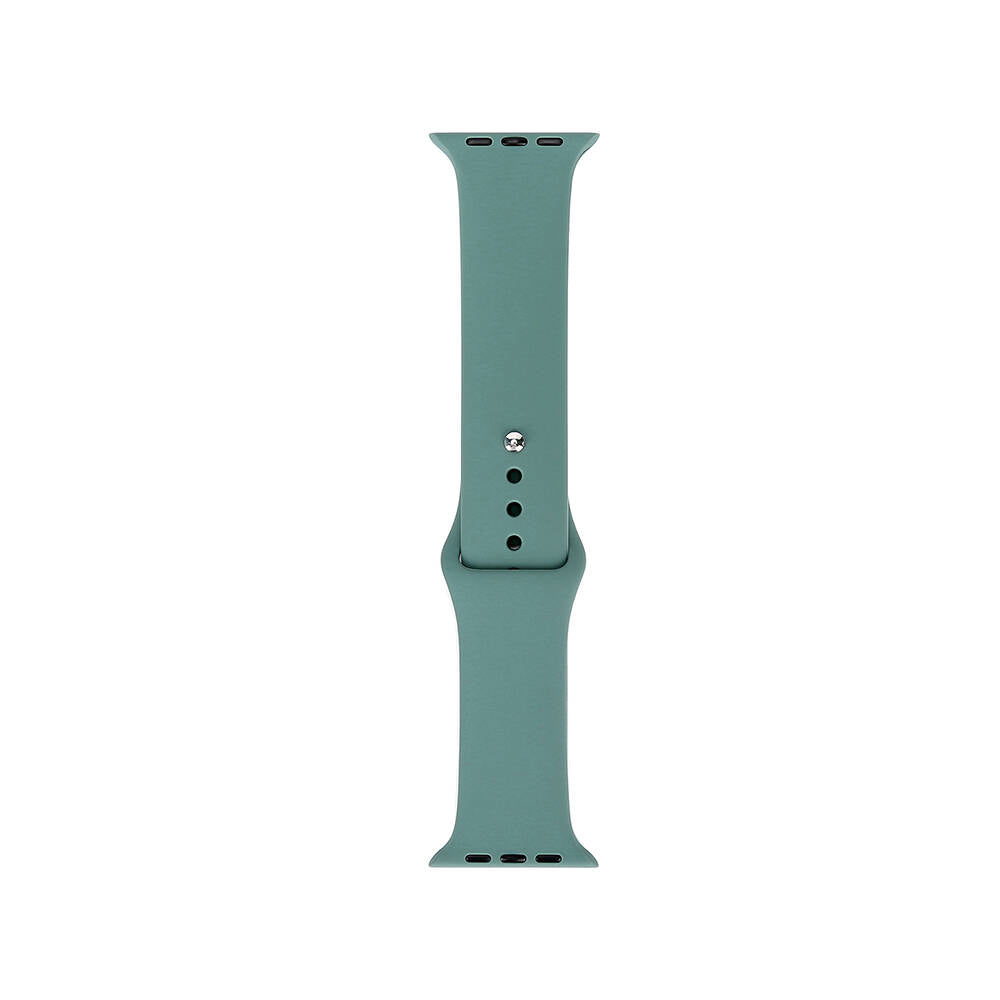 Apple Watch 40mm Band Serisi Klasik Kordon Silikon Strap Kayış Cactus
